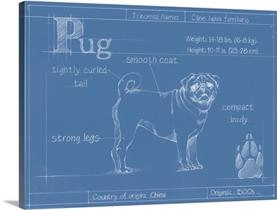 Blueprint Pug