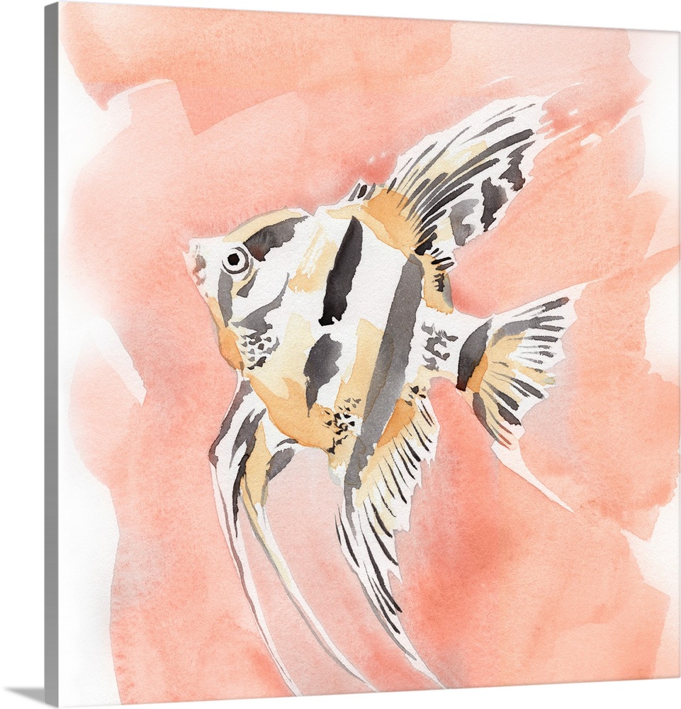 Blush And Ochre Angel Fish II