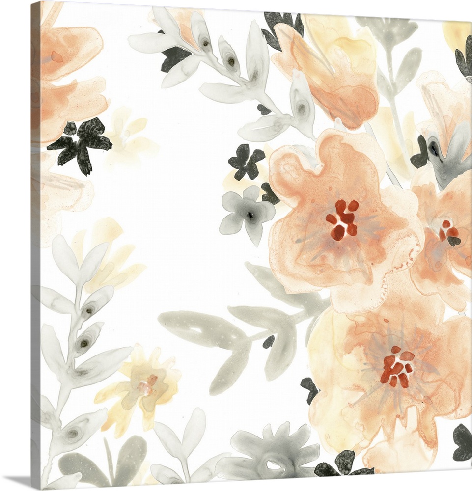 Watercolor painting of blush orange flowers with gray and black foliage on a white square background.