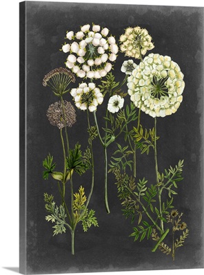 Bookplate Floral II