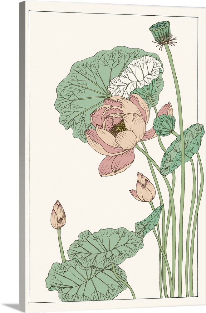 Vintage style illustration of long stemmed lotus blossoms and leaves.