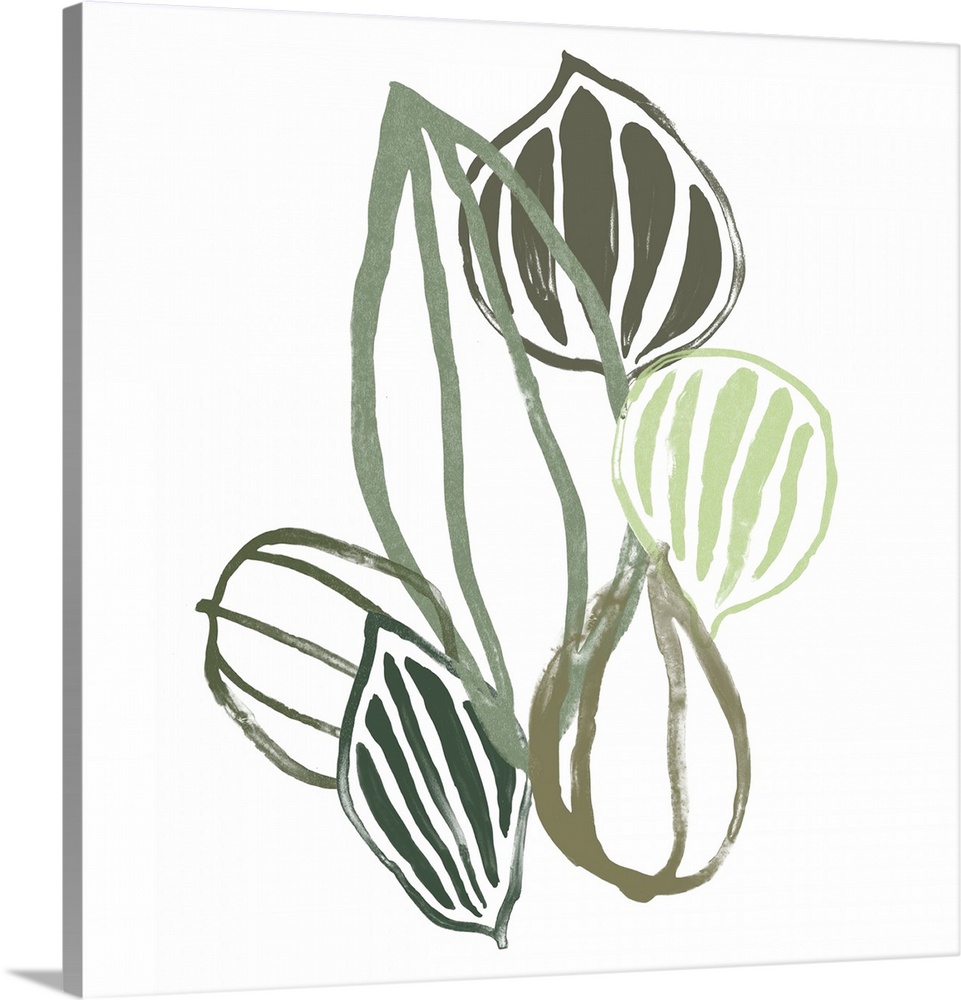 This contemporary artwork features soft painted lines in shades of green that form seedpods over a white background.