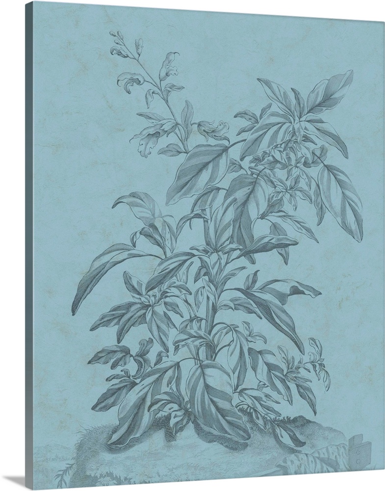 This decorative artwork features an illustrative plant over a distressed blue background with a faint landscape in the bac...