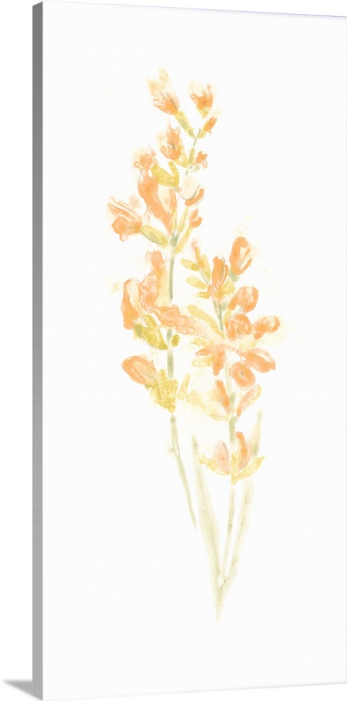 Simple watercolor artwork of a bouquet of flowers in bright orange shades.