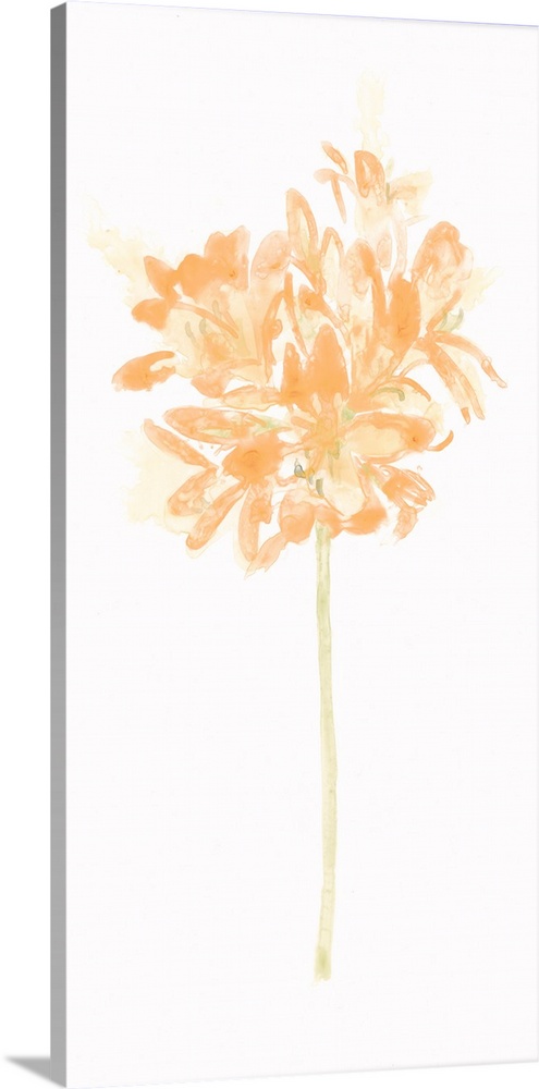 Simple watercolor artwork of a bouquet of flowers in bright orange shades.