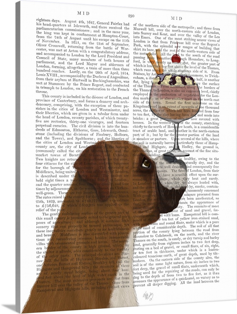 Decorative artwork of a boxer balancing an ice cream sundae on its nose, painted on the page of a book.
