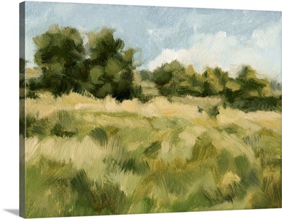 Breezy Meadow II