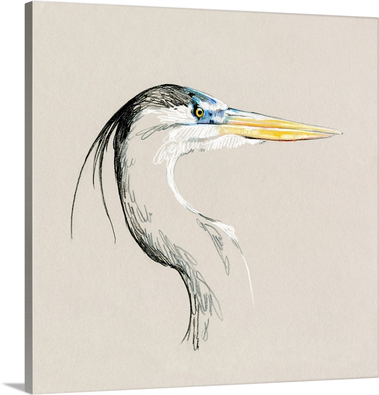 Bright Heron Sketch I Wall Art, Canvas Prints, Framed Prints, Wall