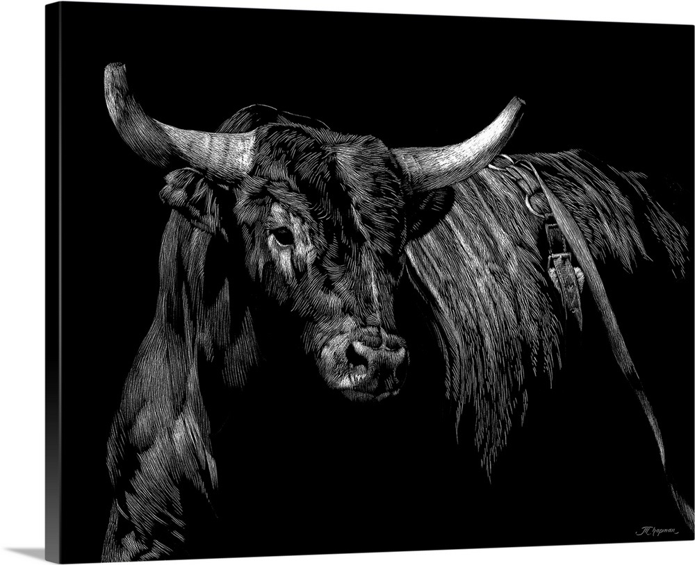 Brindle Rodeo Bull Wall Art, Canvas Prints, Framed Prints, Wall Peels ...