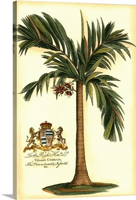 British Colonial Palm I