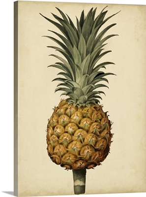 Brookshaw Antique Pineapple II