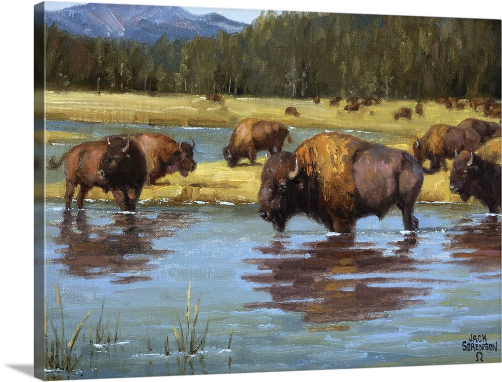 Contemporary Western artwork of a herd of buffalo calmly resting in a river.