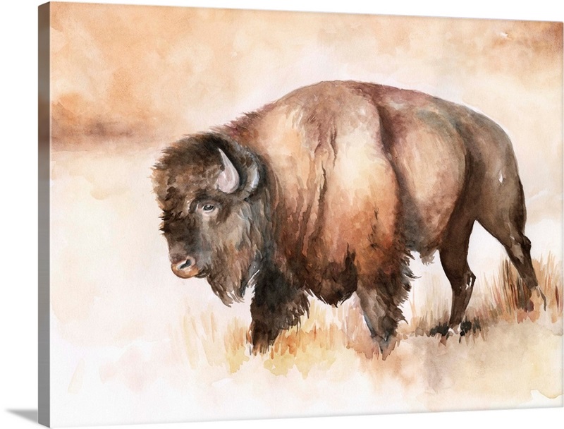 Buffalo Roam I | Great Big Canvas