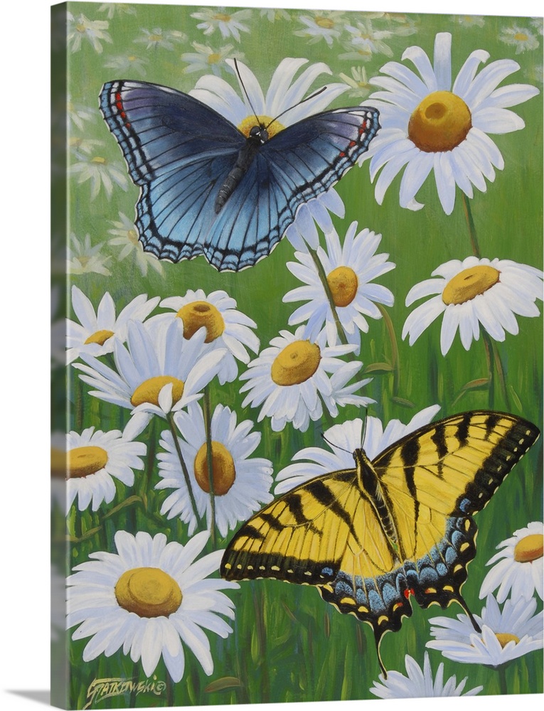 Contemporary painting of two swallowtail butterflies perching on daisy flowers.