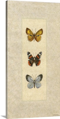 Butterfly Trio II