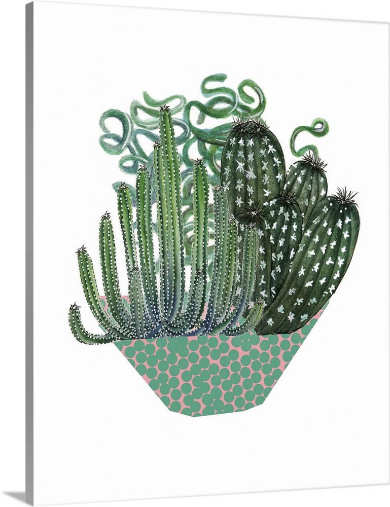 Illustration of an arrangement of cactus and succulent plants in a dotted bowl.
