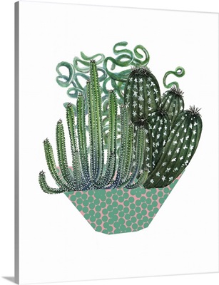 Cactus Arrangement II