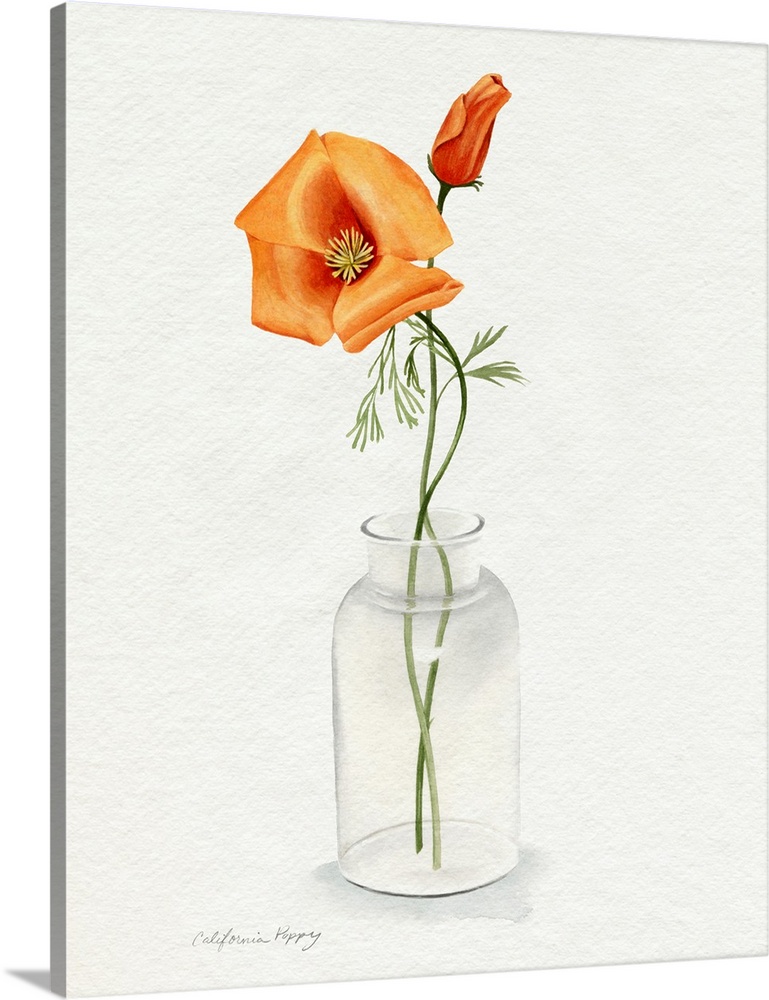 California Poppy Vase I