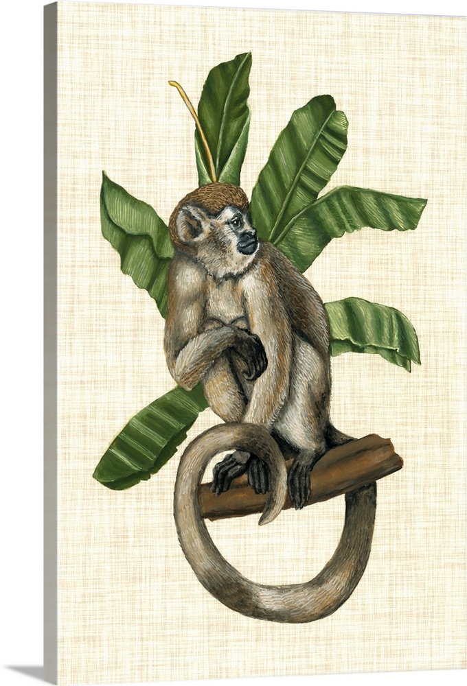 Vintage stylized scientific wildlife illustration of a monkey with tropical leaves against a burlap background.