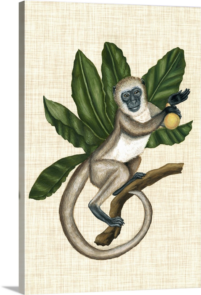 Vintage stylized scientific wildlife illustration of a monkey with tropical leaves against a burlap background.