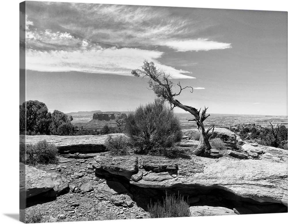 Black and white photograph of Canyonlands National Park in Utah.