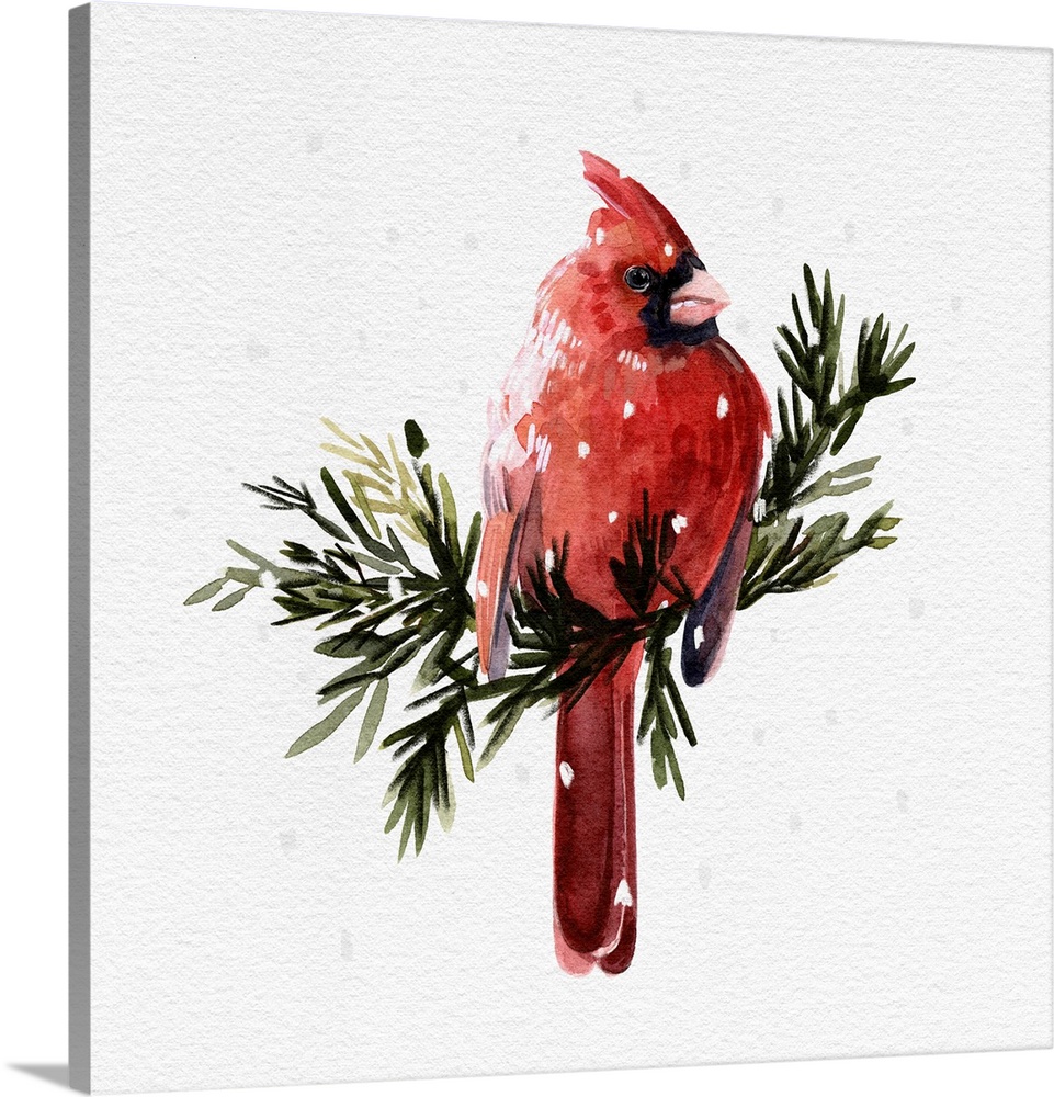 Cardinal With Snow I