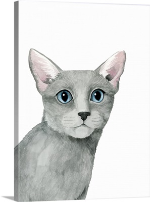 Cat Portrait I
