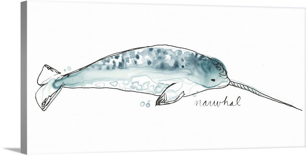 Fun contemporary watercolor drawing of a narwhal.