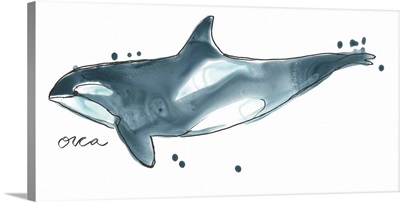 Cetacea Orca Whale