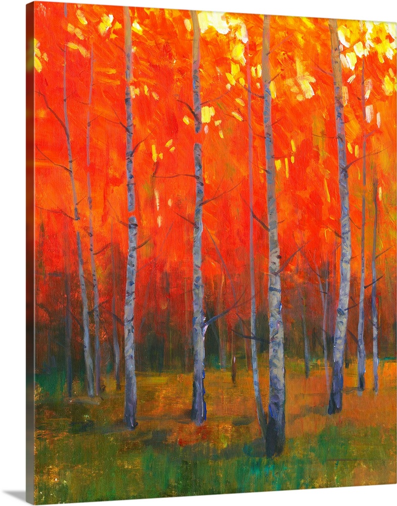 Contemporary painting of a forest of thin trees with leaves glowing in the sunset light in the fall.