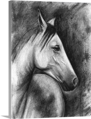Charcoal Equestrian Portrait I