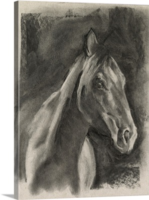 Charcoal Horse Study On Grey I