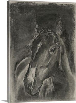 Charcoal Horse Study On Grey II