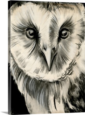 Charcoal Owl II