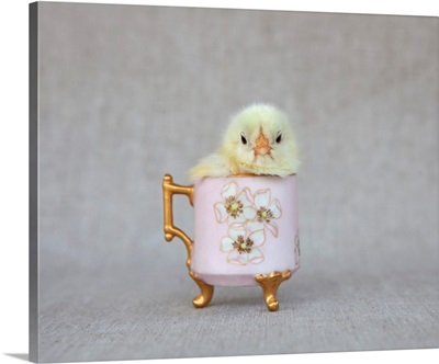 Chick In Pink Cup