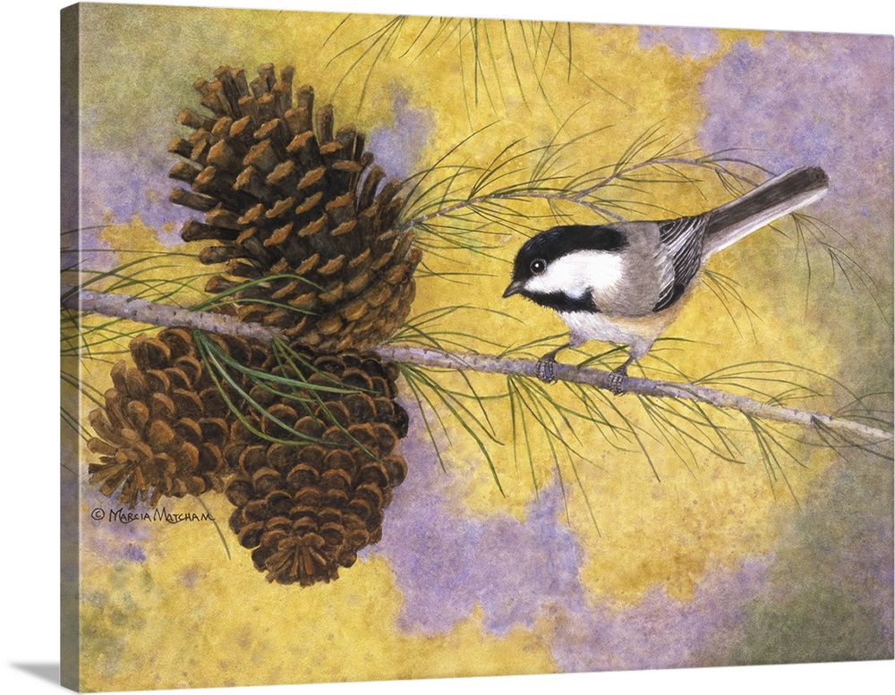 Illustration of a chickadee perched on a branch with pinecones.