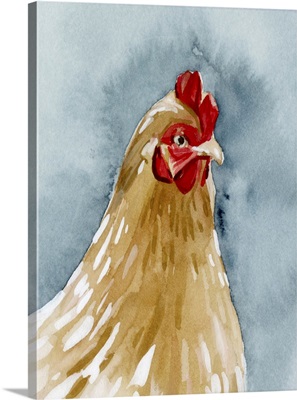 Chicken Portrait II