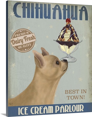 Chihuahua, Fawn, Ice Cream