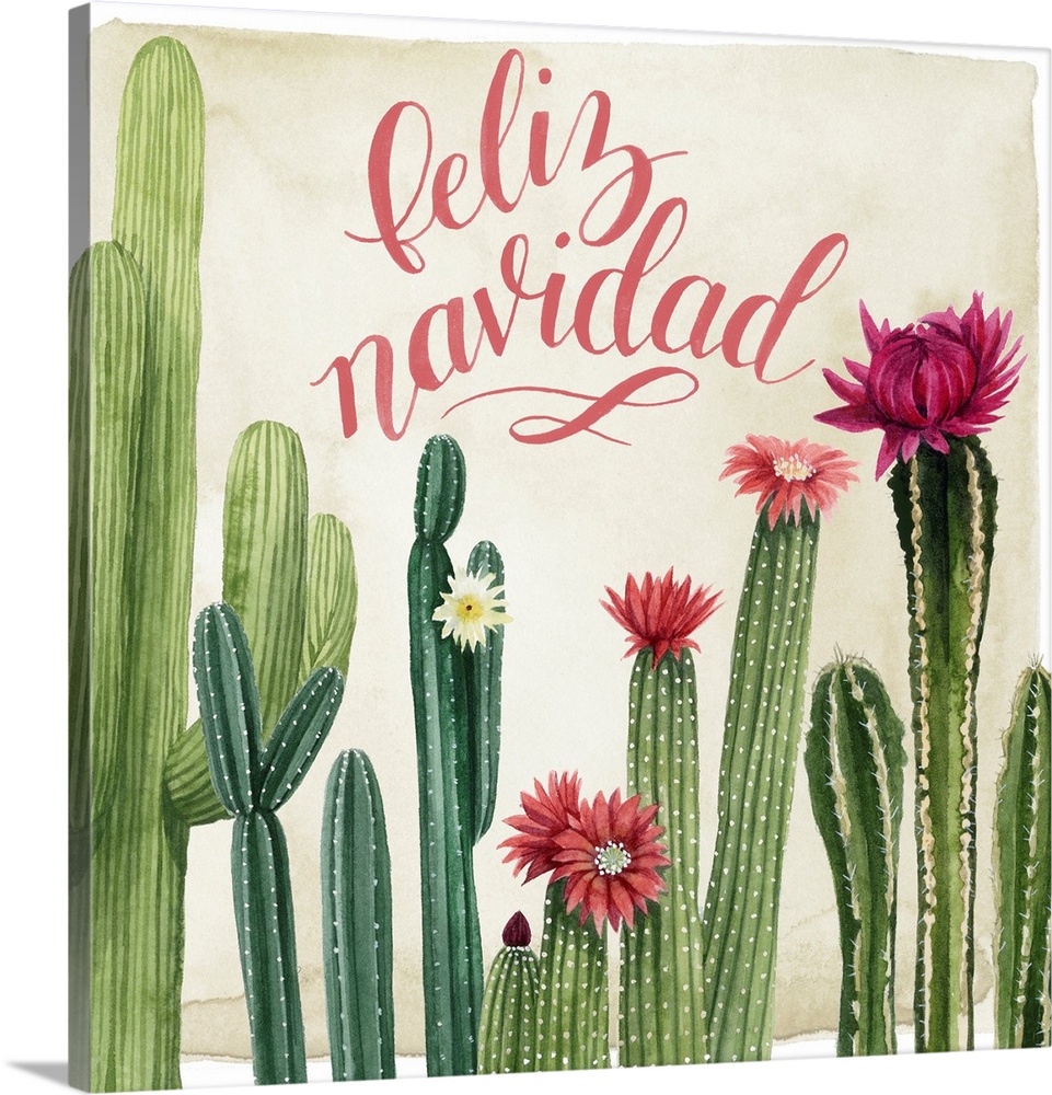 A clever holiday design of "Feliz Navidad" above a row of blooming cactus.