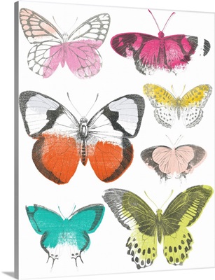 Chromatic Butterflies I