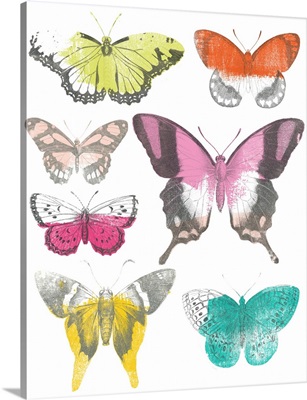 Chromatic Butterflies II