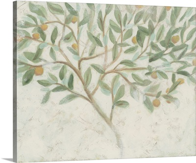 Citrus Tree Fresco II