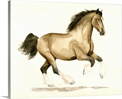 Clydesdale I