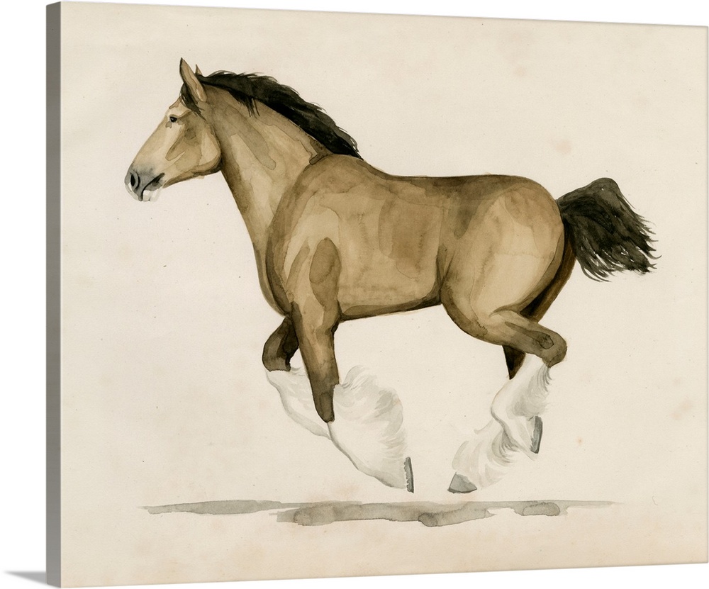 Clydesdale II Wall Art, Canvas Prints, Framed Prints, Wall Peels