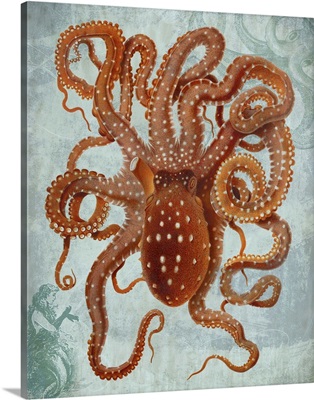 Coastal Life Collection Orange Octopus II