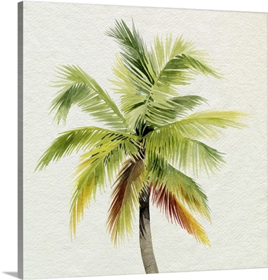 Coco Watercolor Palm I