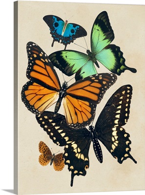 Collaged Butterflies I