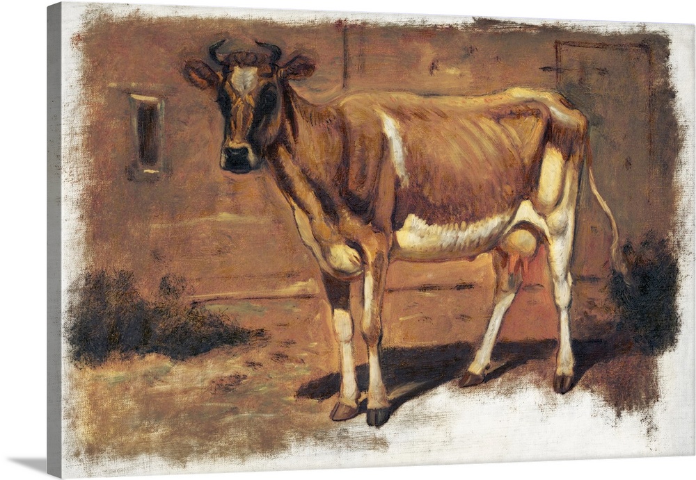 Colman Color Study Of Cows II