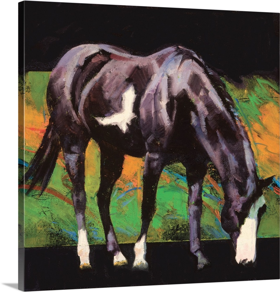 Square painting of a black and white horse with an abstract background.