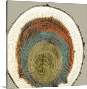 Colored Rings II image thumbnail